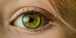groen oog groen oog